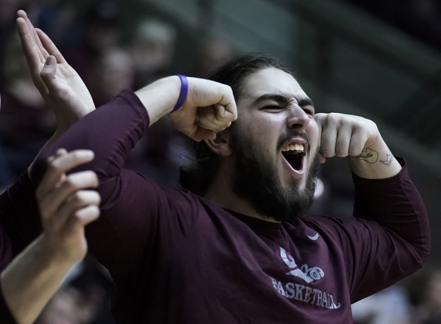 Griz v Cats-5-tm.jpg